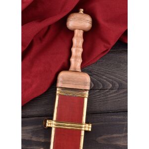 Gladius typ Pompeji, med skida